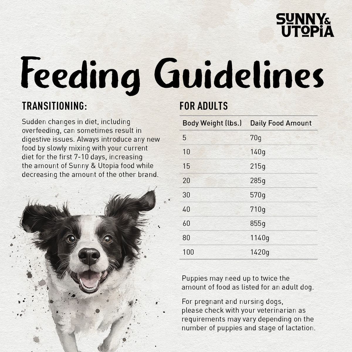 Sunny & Utopia Dog Food: Lamb Flavor